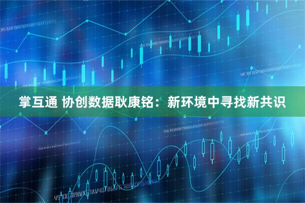 掌互通 协创数据耿康铭:新环境中寻找新共识