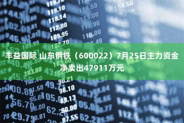 丰益国际 山东钢铁(600022)7月25日主力资金净卖出47911万元