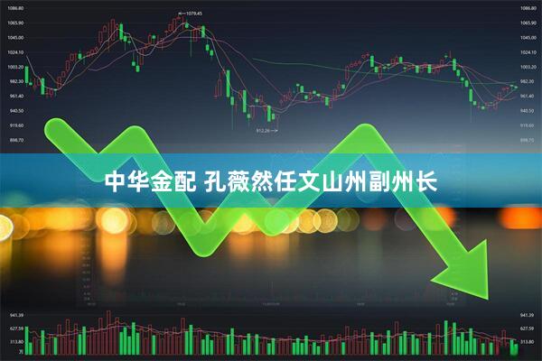中华金配 孔薇然任文山州副州长